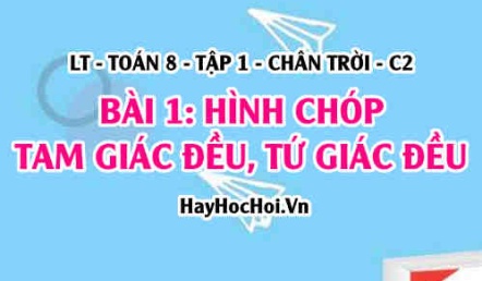 Tính chất Hình chóp Tam giác đều, Hình chóp Tứ giác đều? Toán 8 Chân trời tập 1 Bài 1 C2